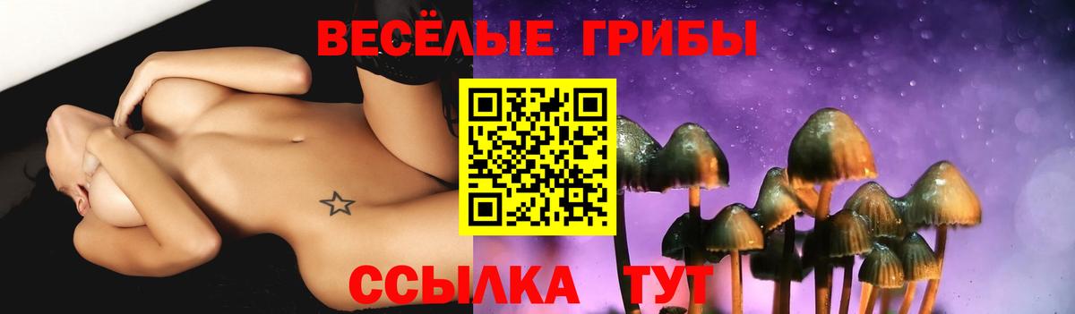Псилоцибиновые грибы Magic Shrooms  Вход с VPN  Мичуринск 